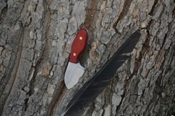 Kolye bıçağı 